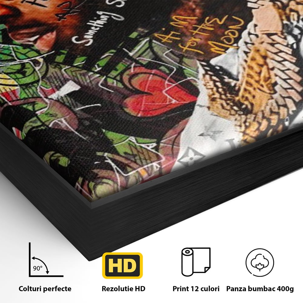 Detaliu al suprafetei: tablou canvas cu rapper purtand coroana, in rama de aluminiu negru