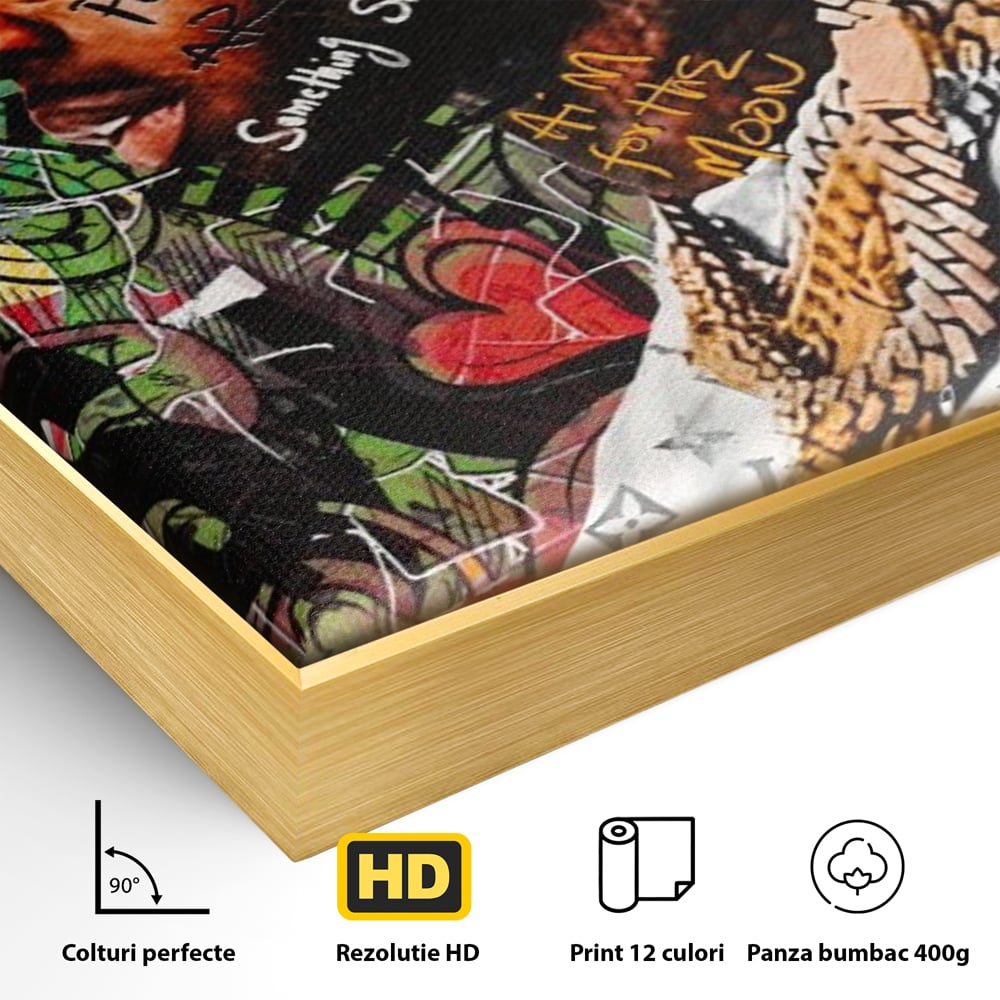 Detaliu al suprafetei: tablou canvas cu rapper purtand coroana, in rama de aluminiu auriu