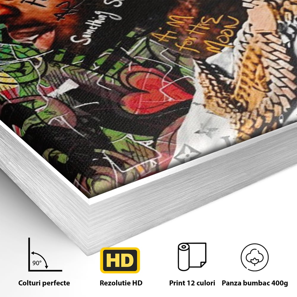 Detaliu al suprafetei: tablou canvas cu rapper purtand coroana, in rama de aluminiu argintiu