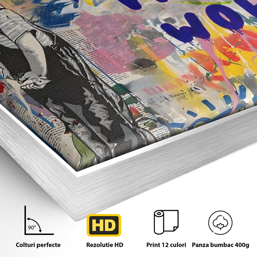 Detaliu al suprafetei: tablou canvas cu mesaj motivational, in rama de aluminiu argintiu