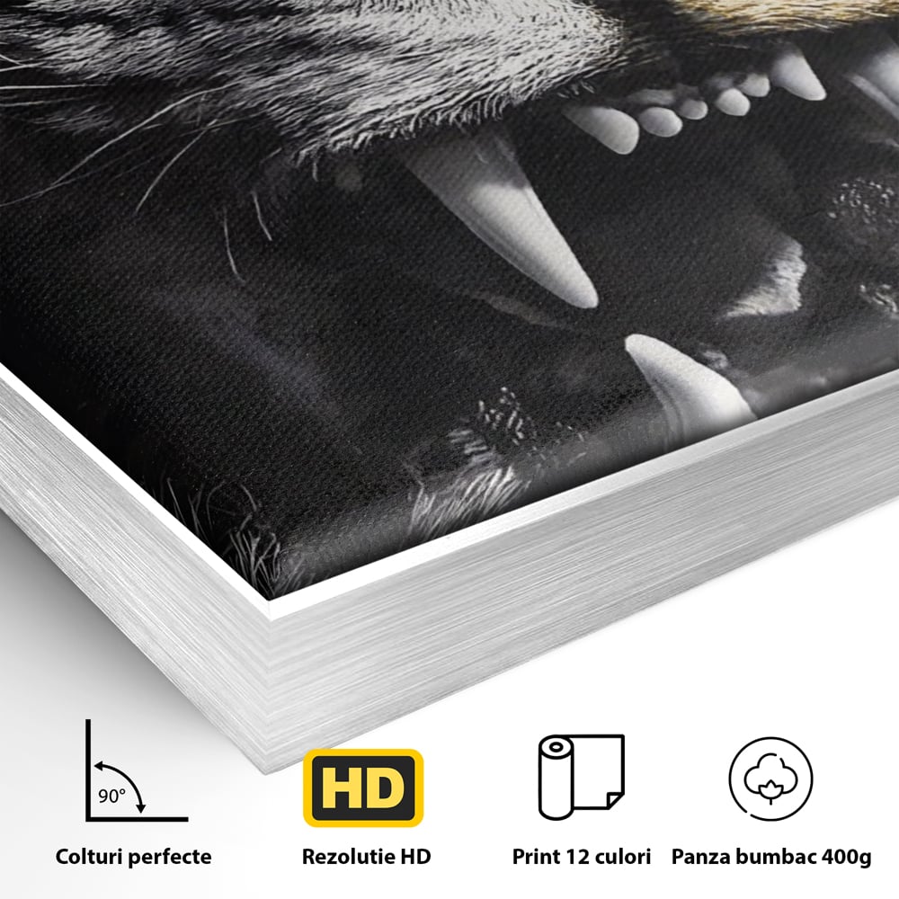Detaliu al suprafetei: tablou canvas cu leu fioros, in rama de aluminiu argintiu