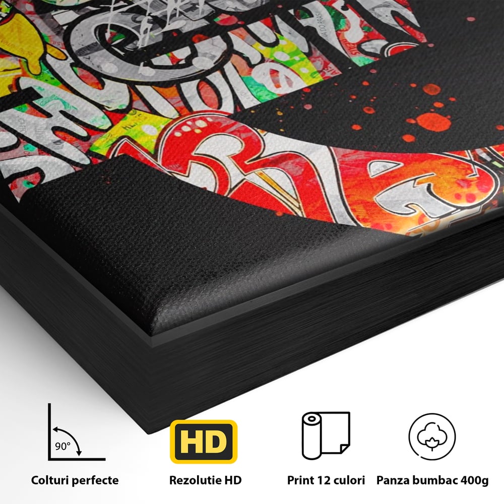 Tablou Canvas A1206, The Euro Sign , Decorativ, Birou, Graffiti Euro, Bani, Living, Culori Vibrante
