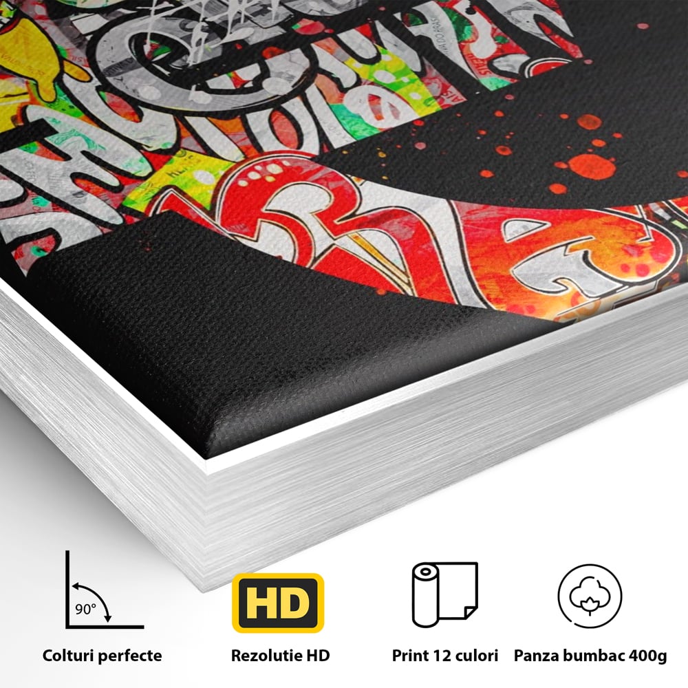Tablou Canvas A1206, The Euro Sign , Decorativ, Birou, Graffiti Euro, Bani, Living, Culori Vibrante