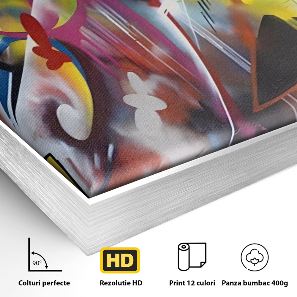Detaliu al suprafetei: tablou canvas cu arta graffiti colorata, in rama de aluminiu argintiu
