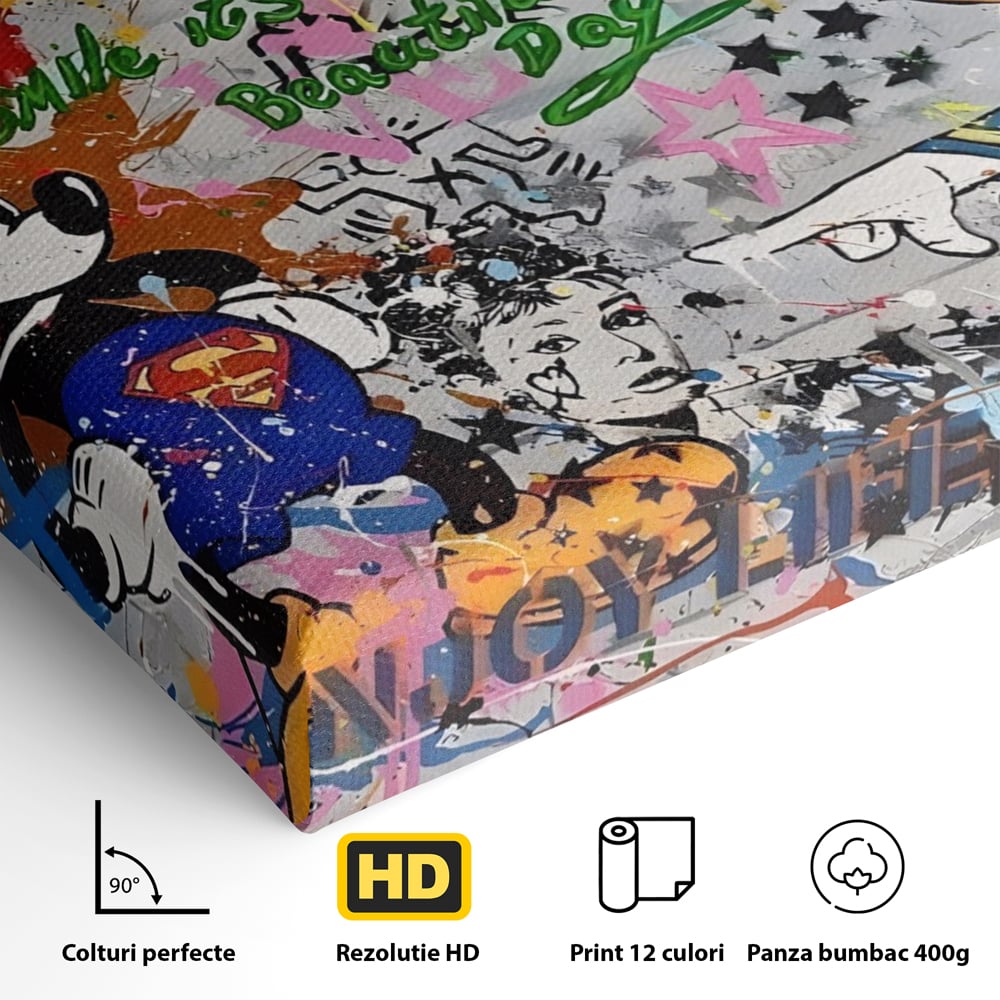 Detaliu al suprafetei: tablou canvas cu graffiti si desene animate, fara rama, pe sasiu de lemn