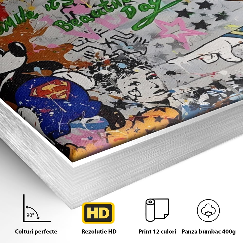 Detaliu al suprafetei: tablou canvas cu graffiti si desene animate, in rama de aluminiu argintiu