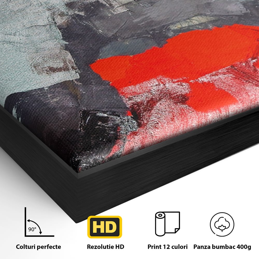 Detaliu al suprafetei: tablou canvas cu portretul unei femei in rosu si negru, in rama de aluminiu negru