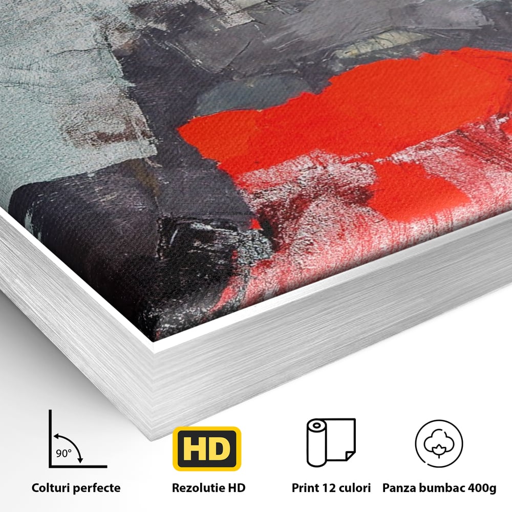 Detaliu al suprafetei: tablou canvas cu portretul unei femei in rosu si negru, in rama de aluminiu argintiu