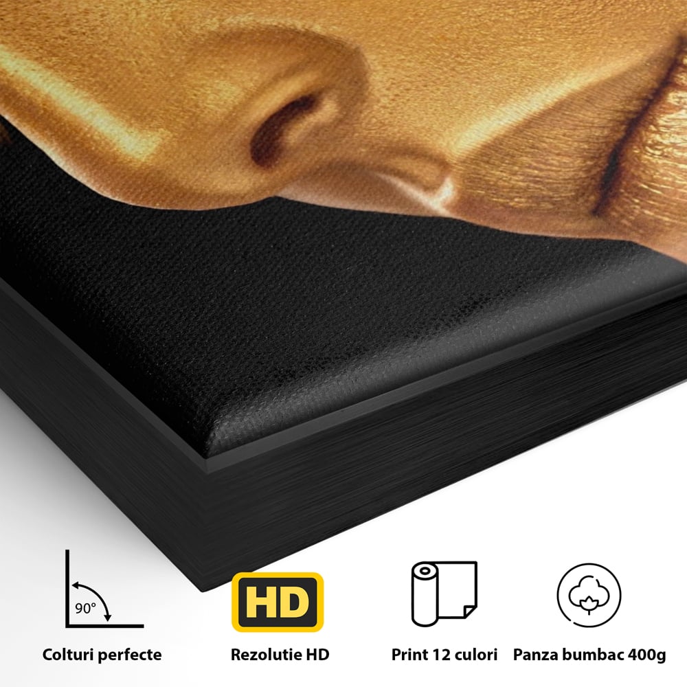 Detaliu al suprafetei: tablou canvas cu femeie in nuante aurii, in rama de aluminiu negru