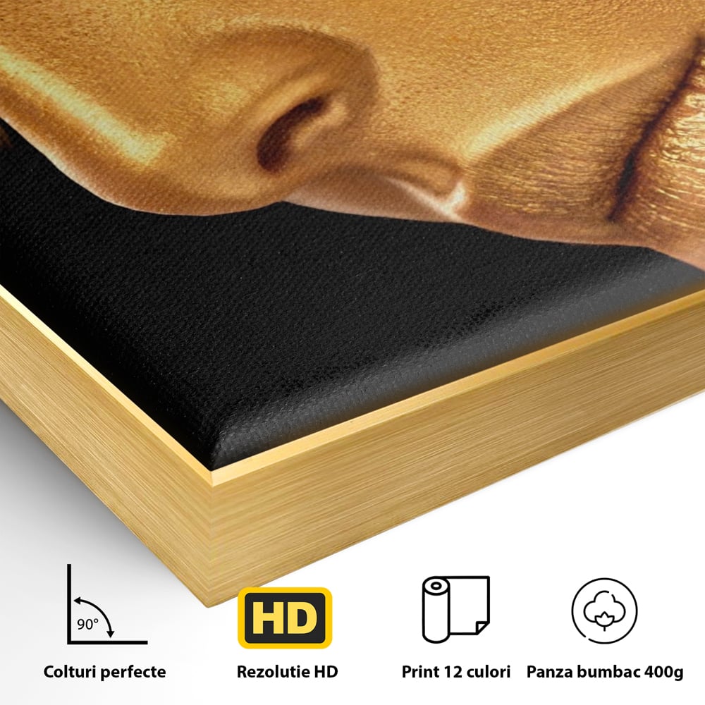 Detaliu al suprafetei: tablou canvas cu femeie in nuante aurii, in rama de aluminiu auriu