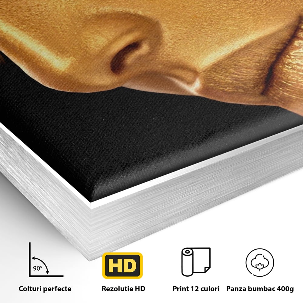 Detaliu al suprafetei: tablou canvas cu femeie in nuante aurii, in rama de aluminiu argintiu