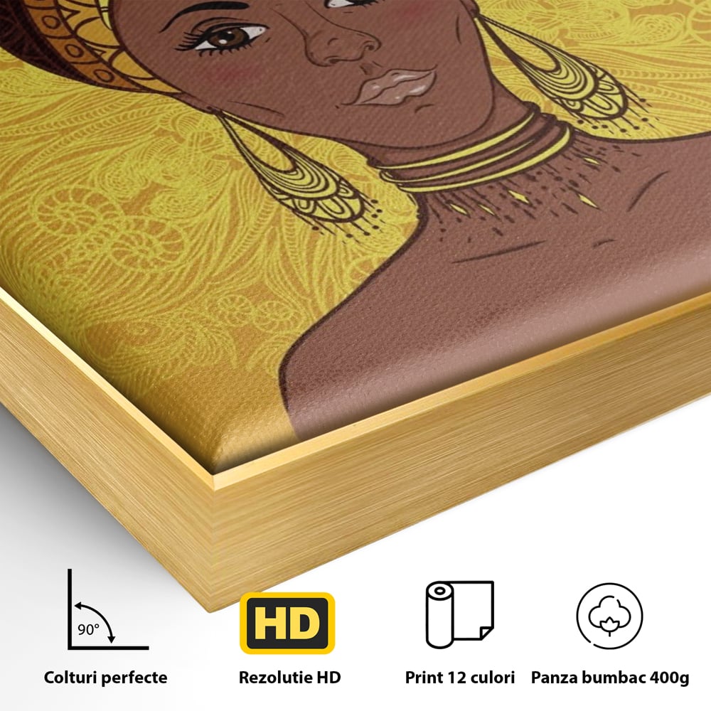 Detaliu al suprafetei: ilustratie digitala cu femeie africana, in rama de aluminiu auriu
