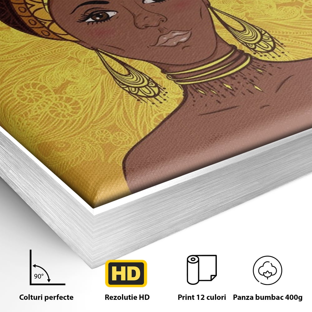 Detaliu al suprafetei: ilustratie digitala cu femeie africana, in rama de aluminiu argintiu