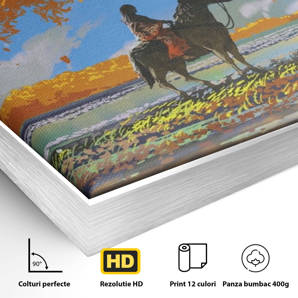 Detaliu al suprafetei: tablou canvas cu fata pe cal, in rama de aluminiu argintiu