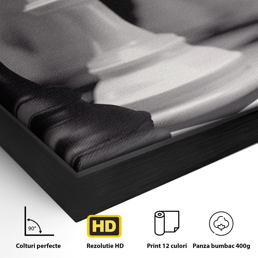 Detaliu al suprafetei: tablou canvas cu piese de sah alb-negru, in rama de aluminiu negru