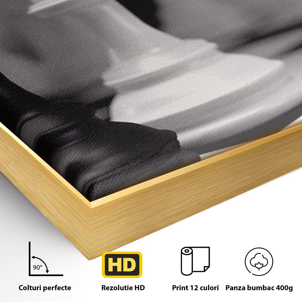 Detaliu al suprafetei: tablou canvas cu piese de sah alb-negru, in rama de aluminiu auriu