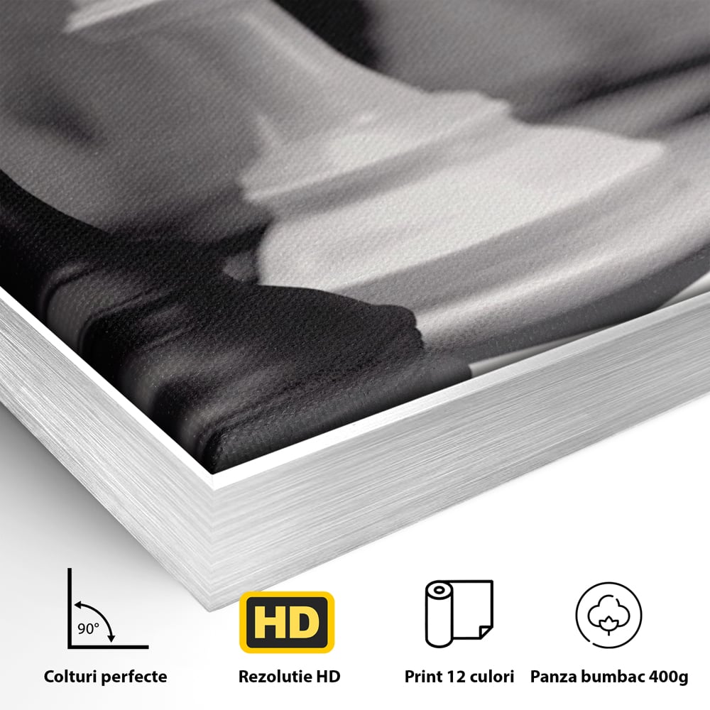 Detaliu al suprafetei: tablou canvas cu piese de sah alb-negru, in rama de aluminiu argintiu