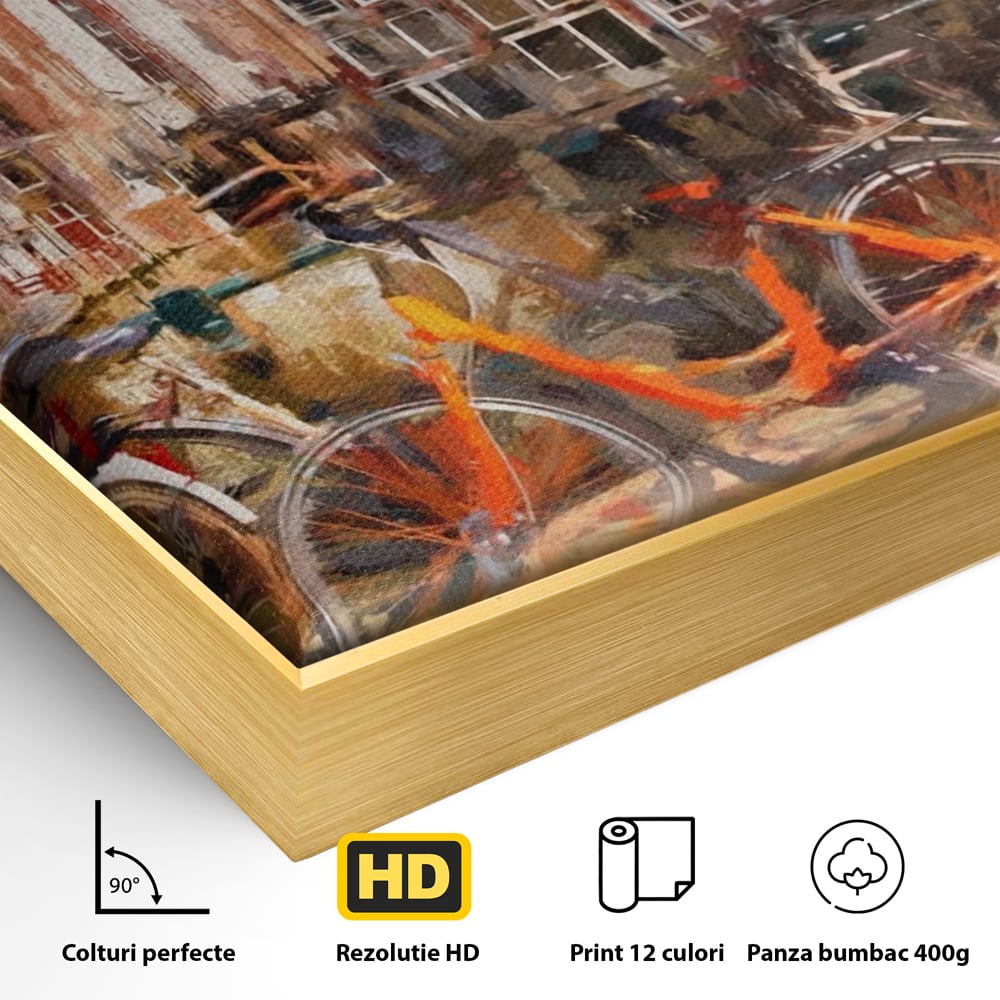 Detaliu al suprafetei: tablou canvas cu bicicleta portocalie pe malul canalului, in rama de aluminiu auriu