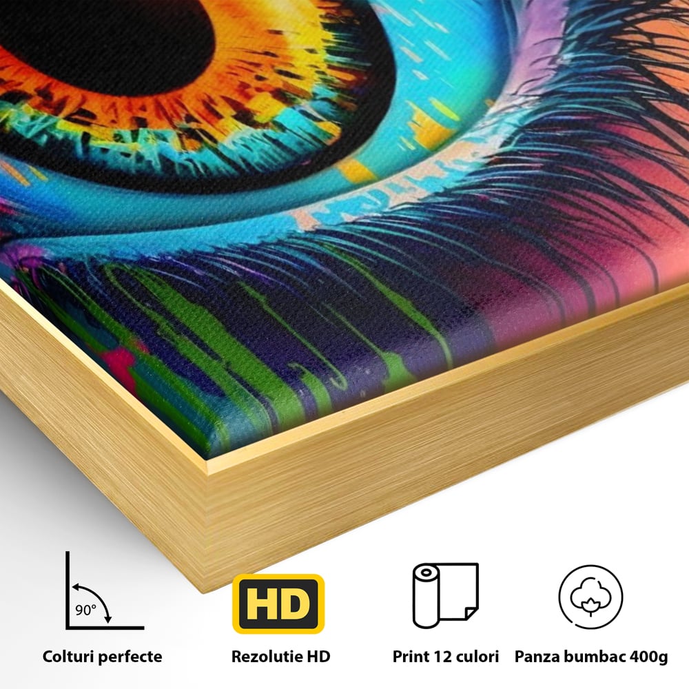 Detaliu al suprafetei: tablou canvas cu ochi uman si graffiti, in rama de aluminiu auriu