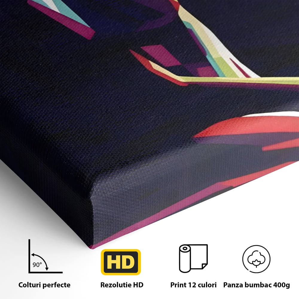 Detaliu al suprafetei: tablou canvas cu silueta feminina abstracta, fara rama, pe sasiu de lemn