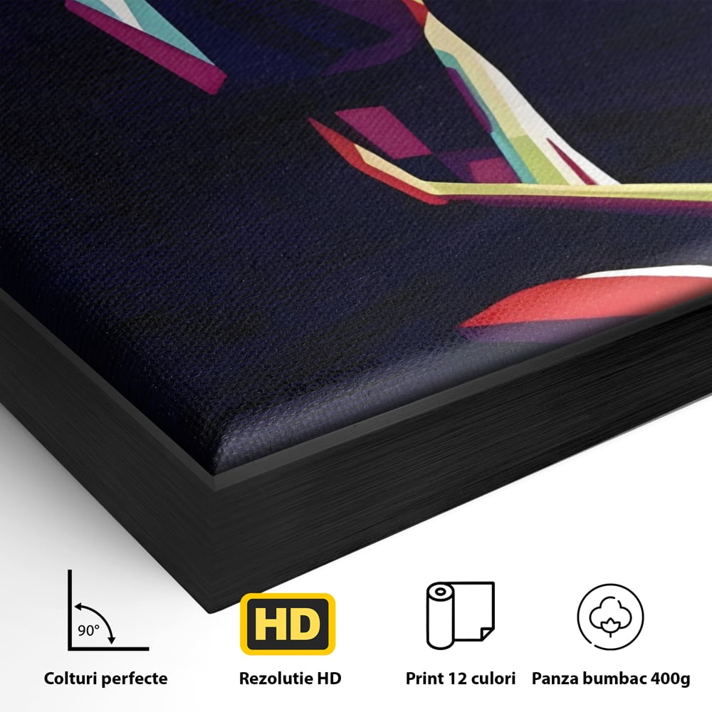 Detaliu al suprafetei: tablou canvas cu silueta feminina abstracta, in rama de aluminiu negru