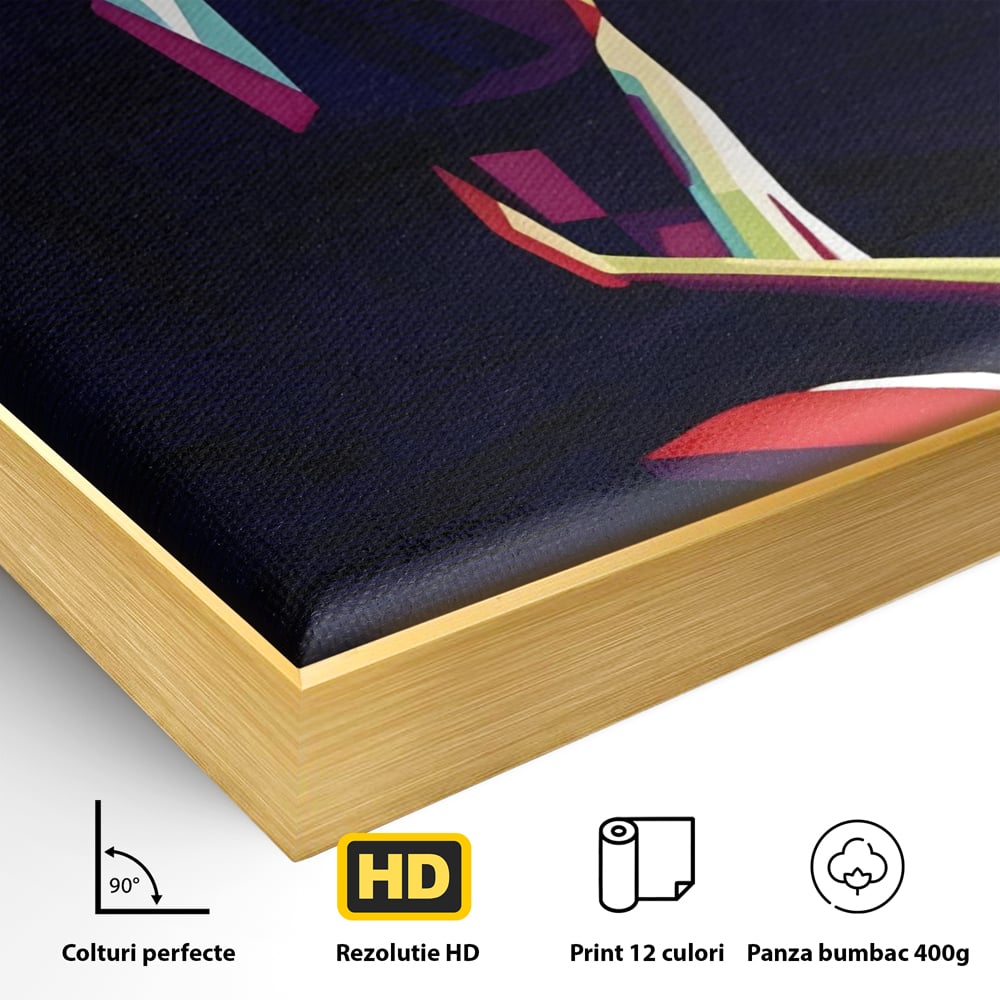 Detaliu al suprafetei: tablou canvas cu silueta feminina abstracta, in rama de aluminiu auriu