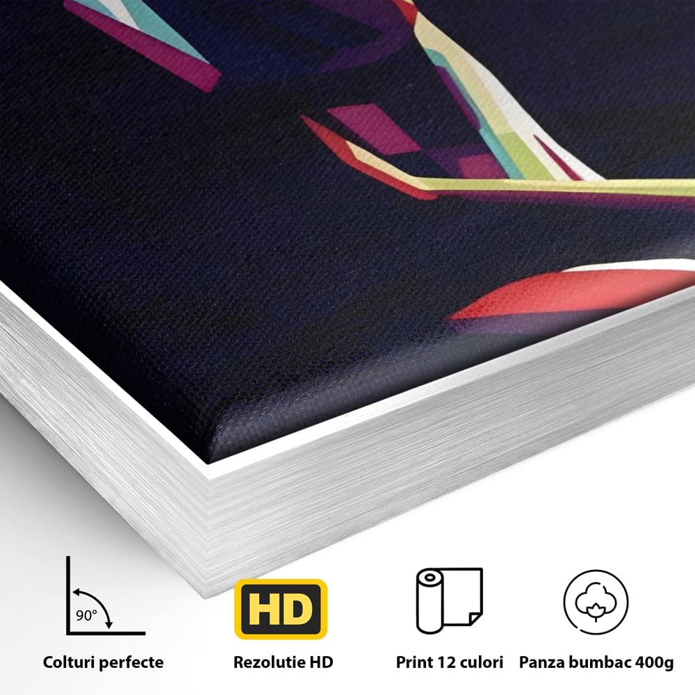 Detaliu al suprafetei: tablou canvas cu silueta feminina abstracta, in rama de aluminiu argintiu