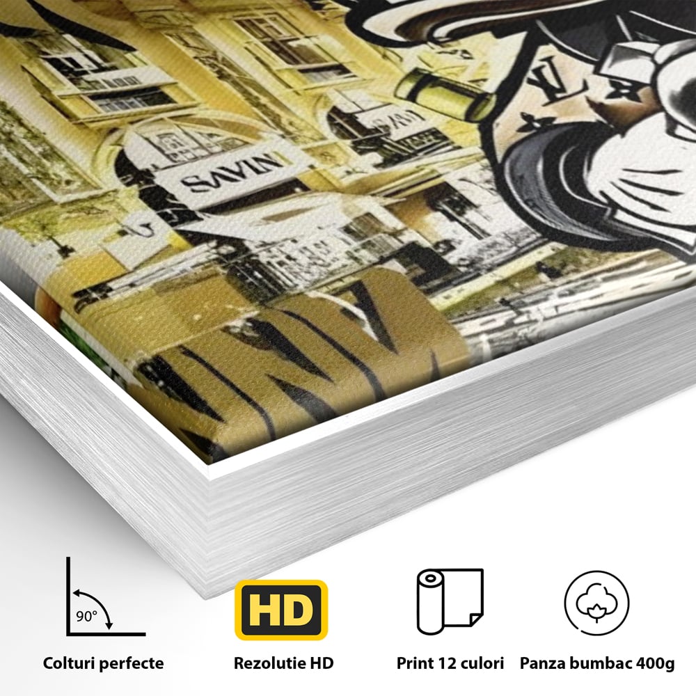 Detaliu al suprafetei: tablou canvas cu rata scrooge mcduck si graffiti, in rama de aluminiu argintiu
