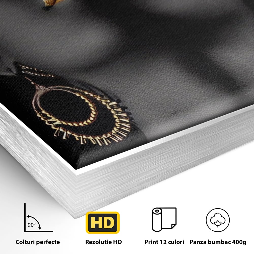 Detaliu al suprafetei: tablou canvas cu femeie si detalii aurii, in rama de aluminiu argintiu