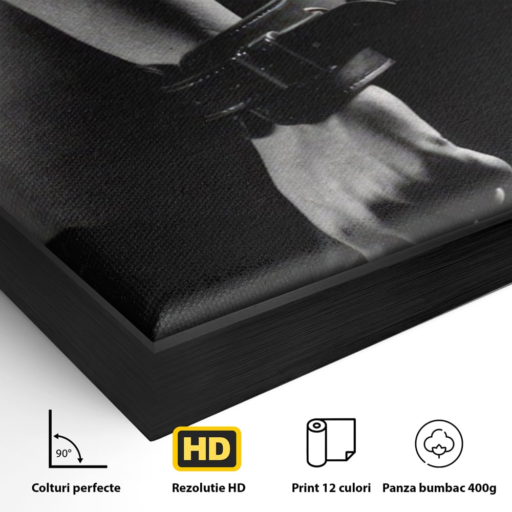 Detaliu al suprafetei: tablou canvas cu trup nud si catuse, in rama de aluminiu negru