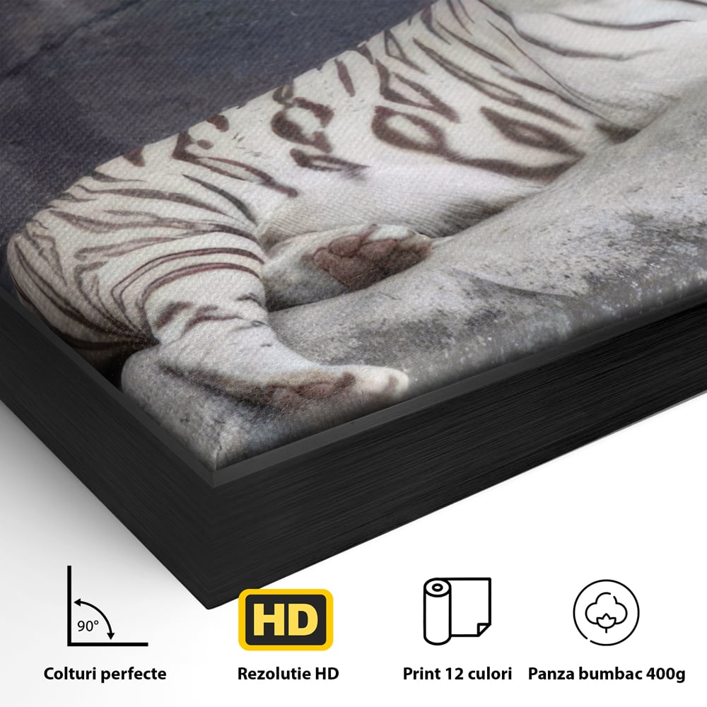Detaliu al suprafetei: tablou canvas cu tigru alb pe stanca, in rama de aluminiu negru