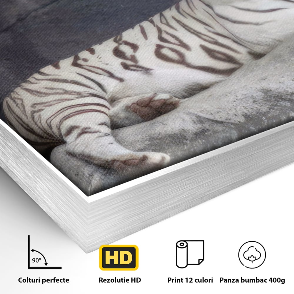 Detaliu al suprafetei: tablou canvas cu tigru alb pe stanca, in rama de aluminiu argintiu