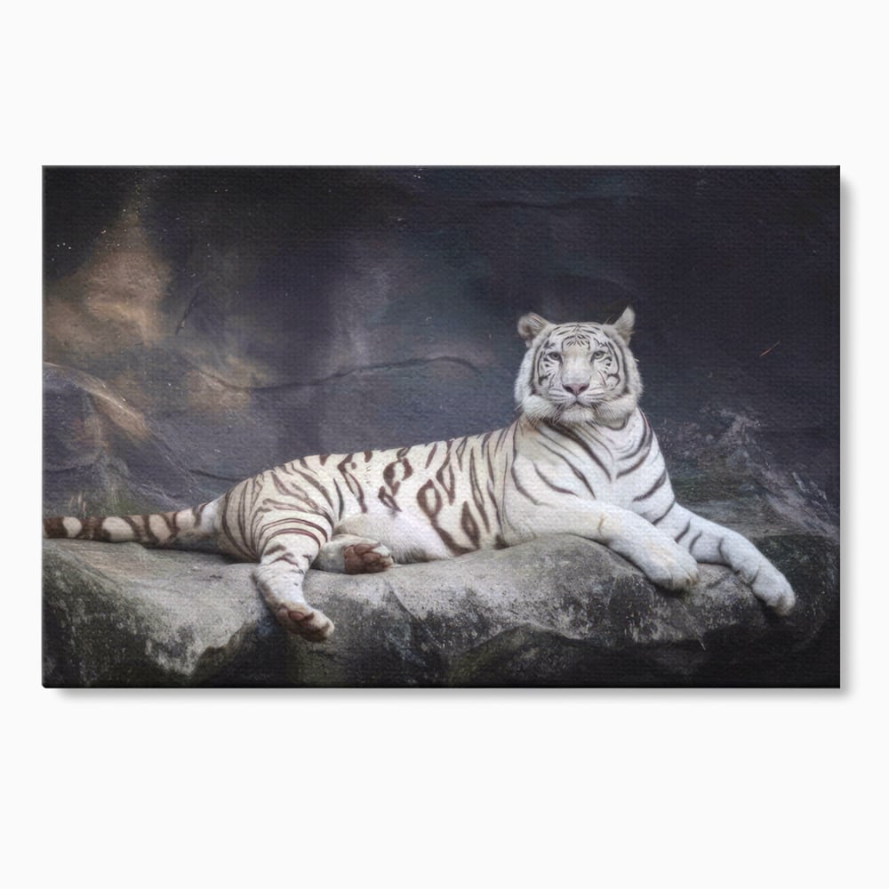 Tablou canvas cu tablou canvas cu tigru alb pe stanca, fara rama, pe sasiu de lemn