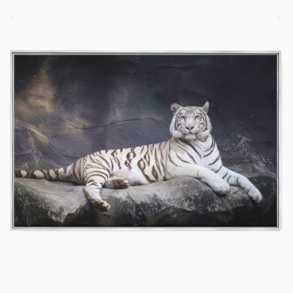 Tablou canvas cu tablou canvas cu tigru alb pe stanca, in rama de aluminiu argintiu
