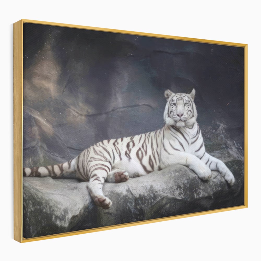 Tablou canvas cu tablou canvas cu tigru alb pe stanca, in rama de aluminiu auriu