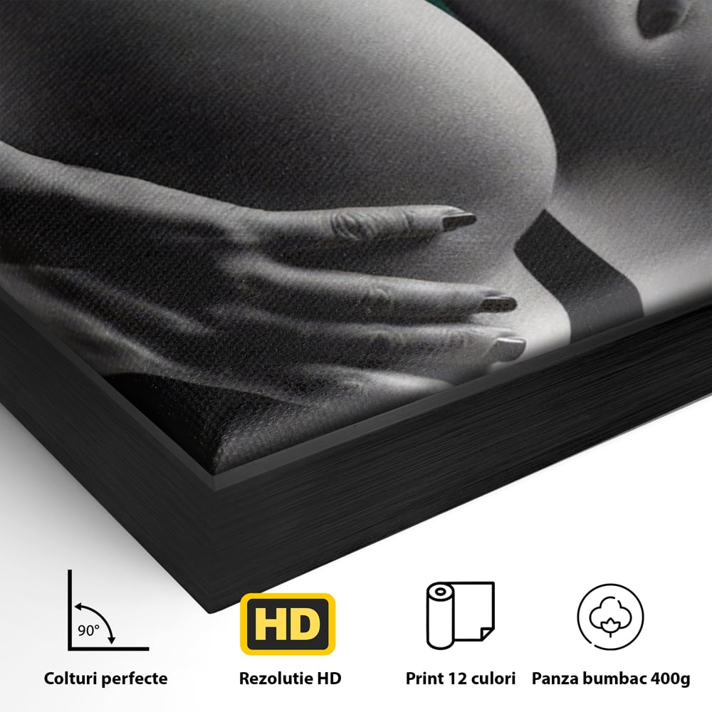 Detaliu al suprafetei: tablou canvas cu silueta senzuala, in rama de aluminiu negru