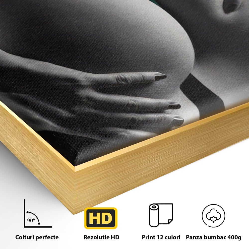 Detaliu al suprafetei: tablou canvas cu silueta senzuala, in rama de aluminiu auriu
