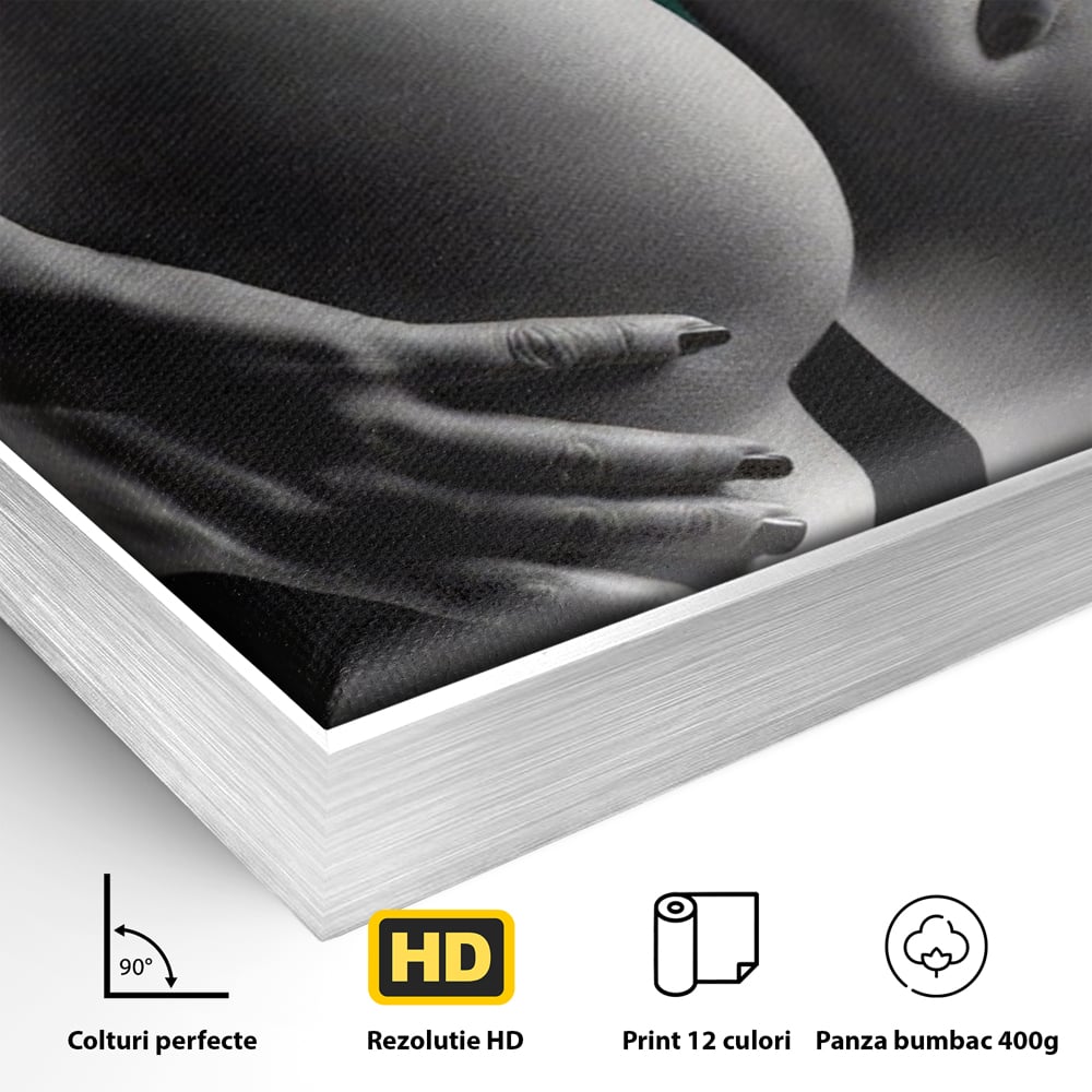 Detaliu al suprafetei: tablou canvas cu silueta senzuala, in rama de aluminiu argintiu