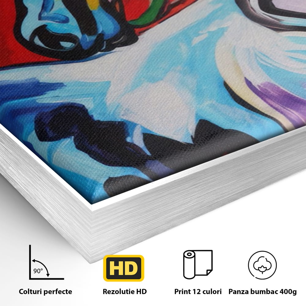 Detaliu al suprafetei: pictura canvas cu cal colorat, in rama de aluminiu argintiu