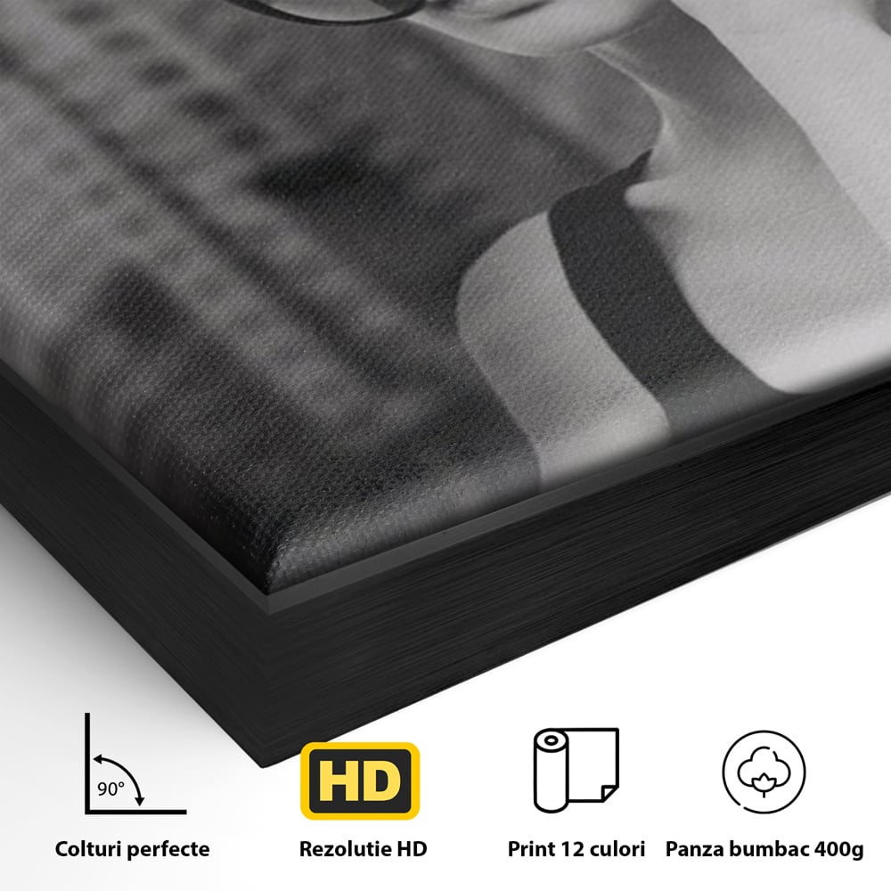 Detaliu al suprafetei: tablou canvas cu femeie in alb negru, in rama de aluminiu negru