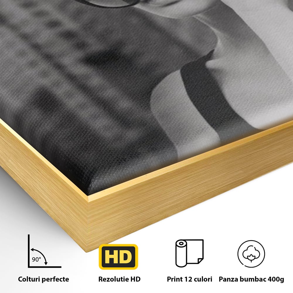 Detaliu al suprafetei: tablou canvas cu femeie in alb negru, in rama de aluminiu auriu