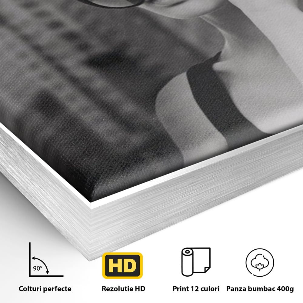 Detaliu al suprafetei: tablou canvas cu femeie in alb negru, in rama de aluminiu argintiu