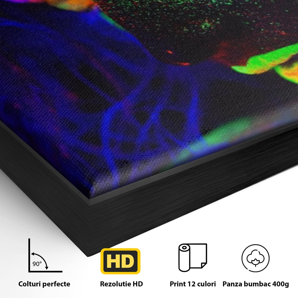 Detaliu al suprafetei: tablou canvas cu fata in culori neon, in rama de aluminiu negru