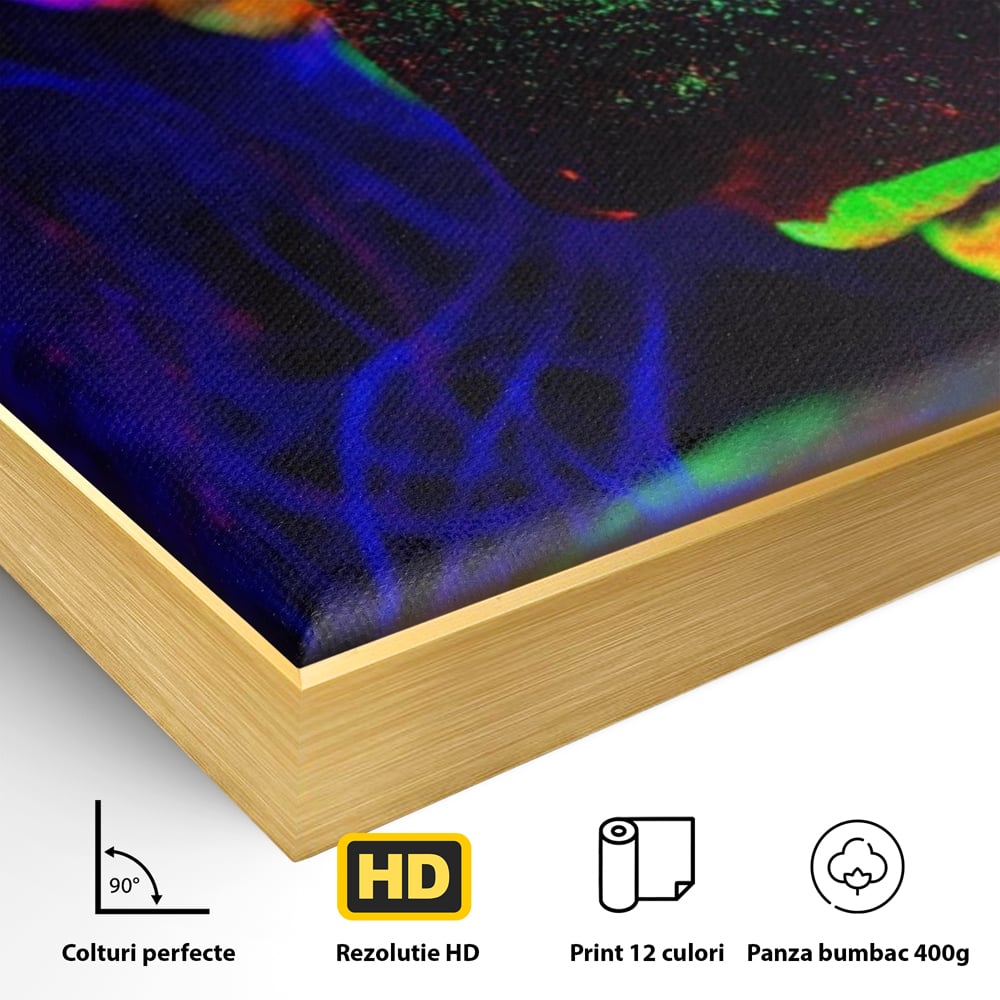 Detaliu al suprafetei: tablou canvas cu fata in culori neon, in rama de aluminiu auriu