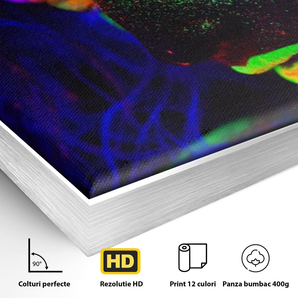 Detaliu al suprafetei: tablou canvas cu fata in culori neon, in rama de aluminiu argintiu