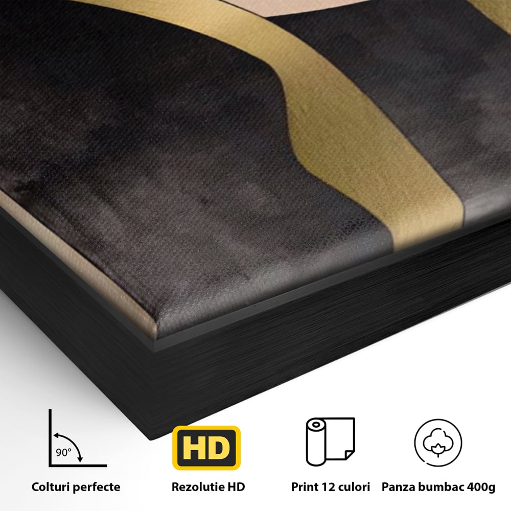Detaliu al suprafetei: tablou canvas cu forme abstracte aurii, in rama de aluminiu negru