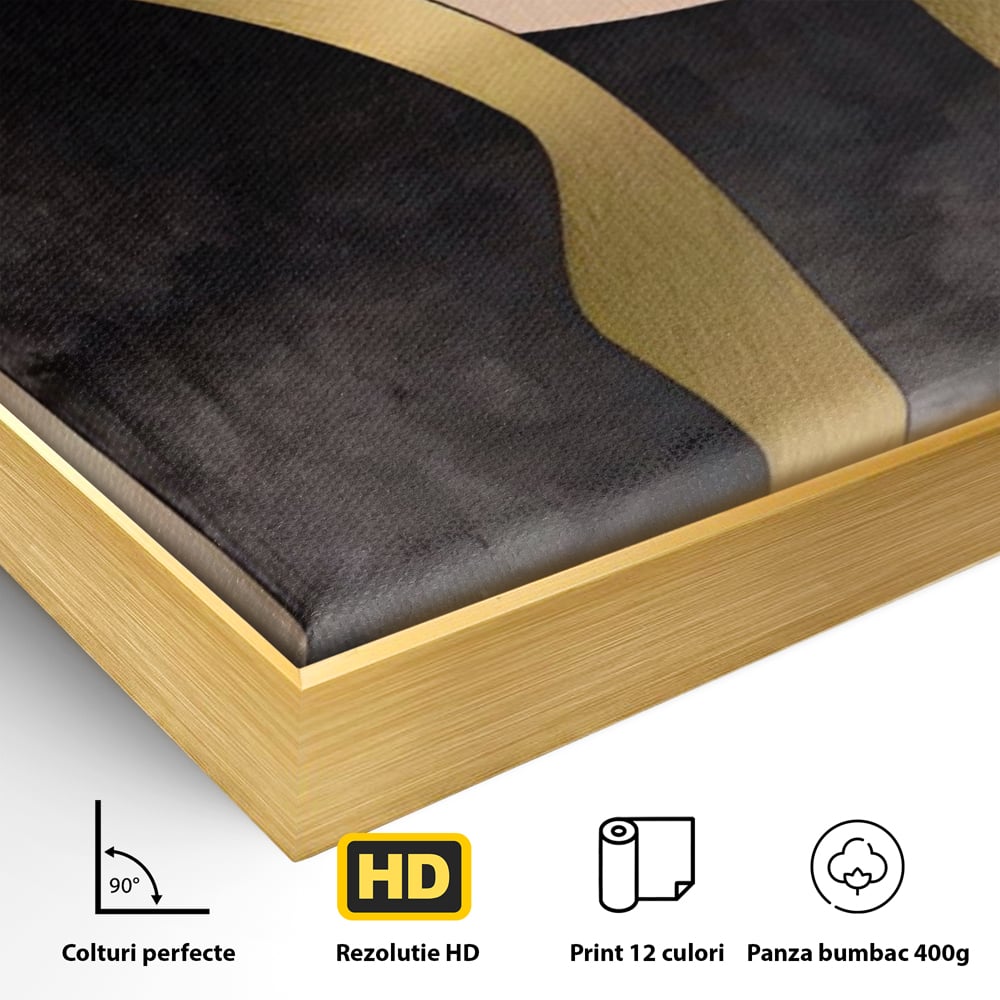 Detaliu al suprafetei: tablou canvas cu forme abstracte aurii, in rama de aluminiu auriu
