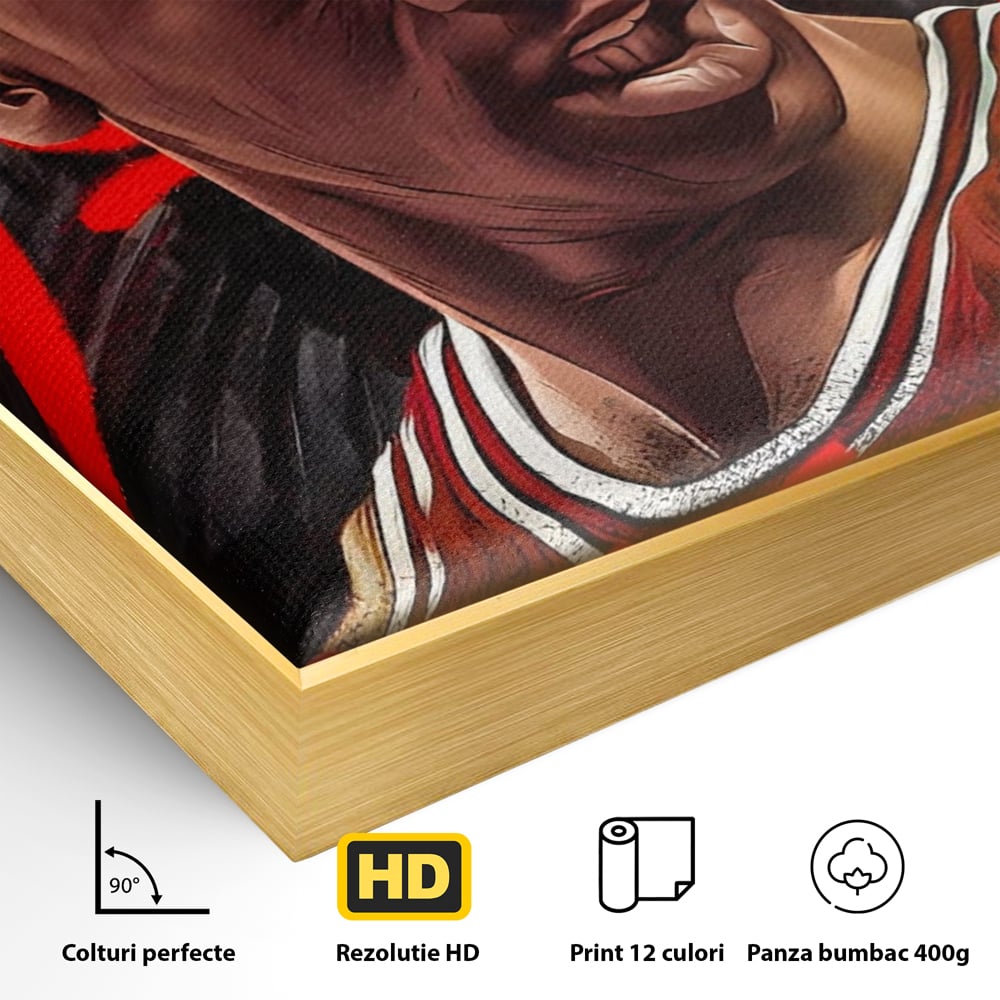 Detaliu al suprafetei: portret grafic cu michael jordan, in rama de aluminiu auriu