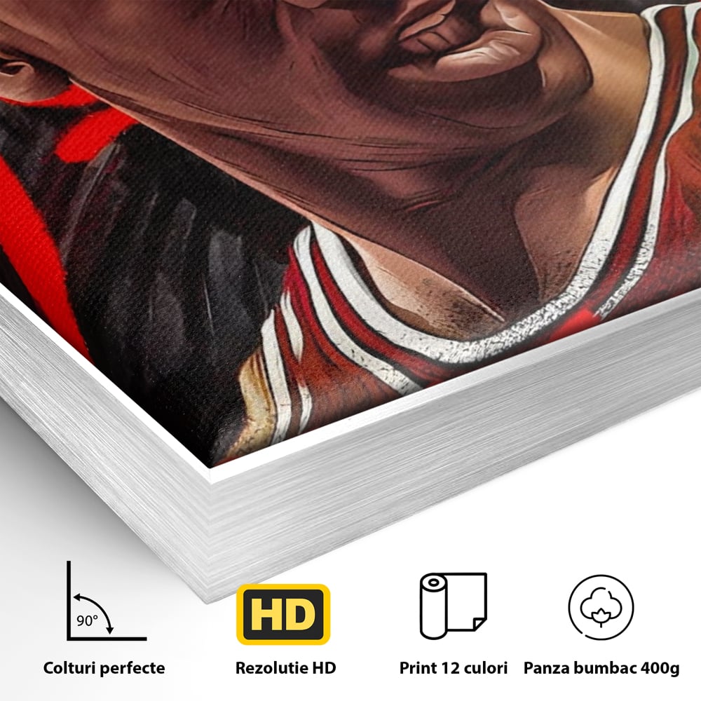 Detaliu al suprafetei: portret grafic cu michael jordan, in rama de aluminiu argintiu