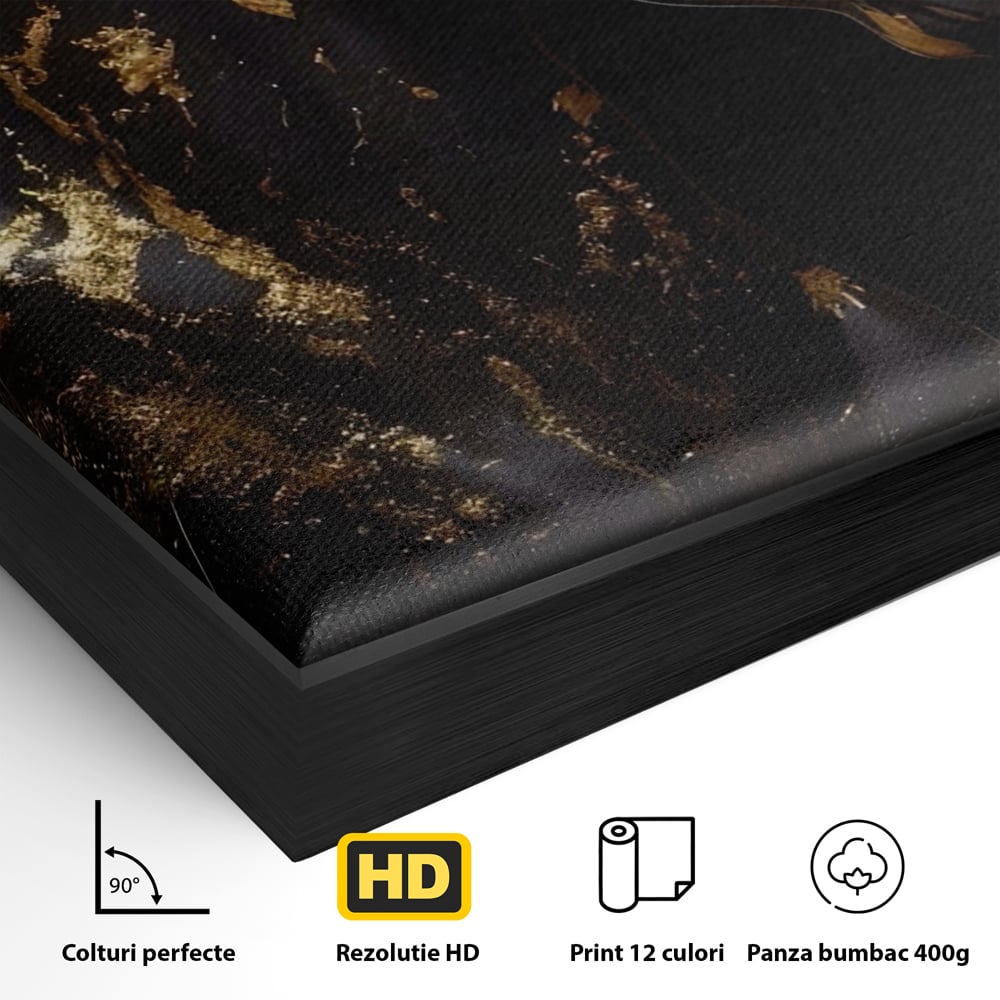 Detaliu al suprafetei: tablou canvas cu un cal negru, in rama de aluminiu negru